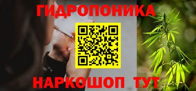 молекула духа Гагарин