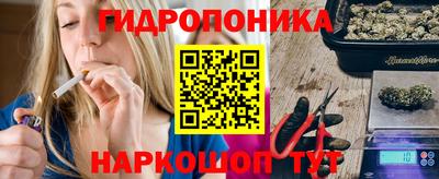 мяу мяу мука Гатчина