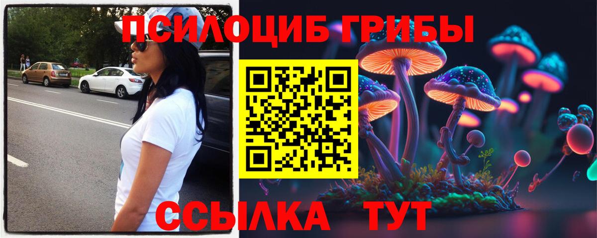 Псилоцибиновые грибы Psilocybe  Вход с VPN  Мценск 