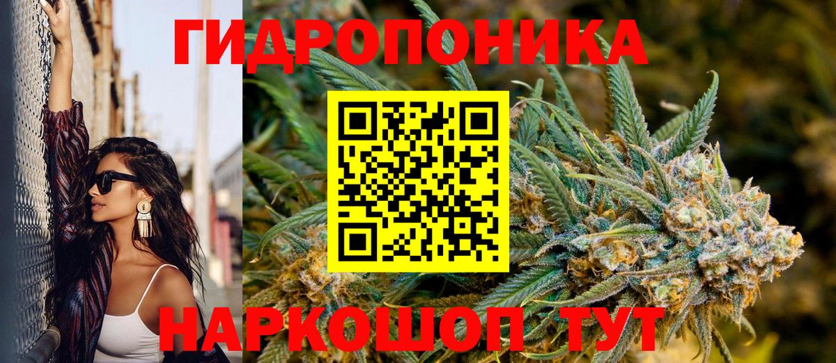 Конопля план  Каннабис LSD WEED  Вход с VPN  Бошки Шишки ГИДРОПОН  Мценск  Бошки марихуана White Widow 